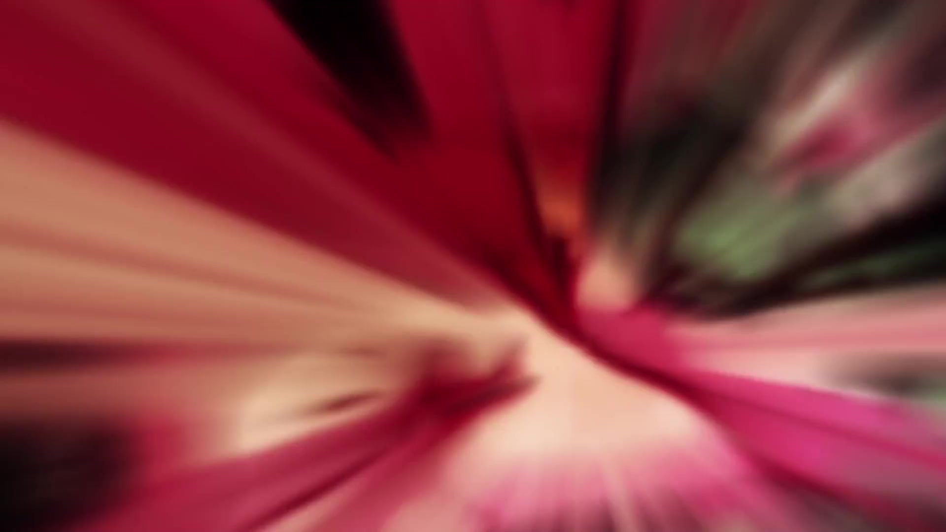 [Tsukyio Editing Resources] Jujutsu Kaisen Season 1 (Episode 4) Raw Clips (39) (tsukyio.com).mp4